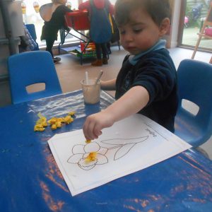 Expressive Arts & Design 005