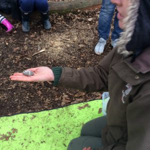 Forest School 005
