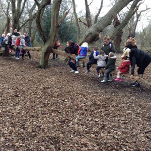 Forest School 007