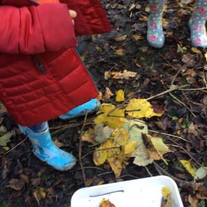 Forest School 024