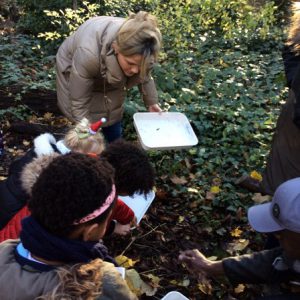 Forest School 025