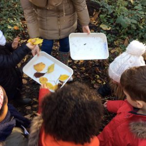 Forest School 026