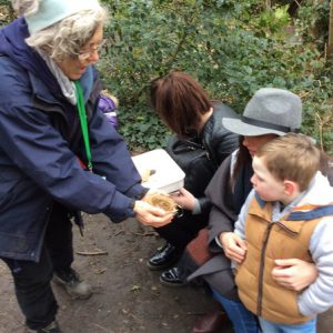 Forest School 031