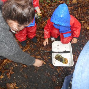 Forest School 069