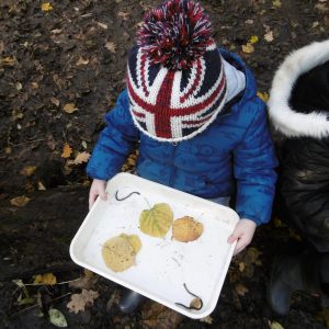 Forest School 075