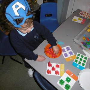 Mathematical Development and Literacy 010
