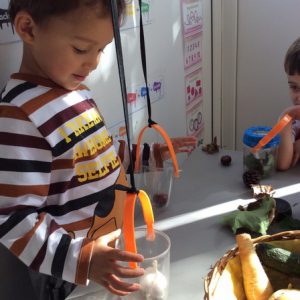 Mathematical Development and Literacy 016