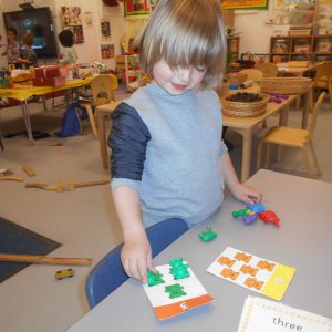 Mathematical Development and Literacy 019