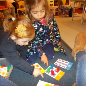 Mathematical Development and Literacy 029