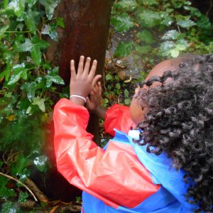 Understanding the World 041